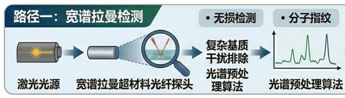 路径一：宽谱拉曼检测流程图