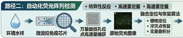 路径二：自动化荧光阵列检测流程图